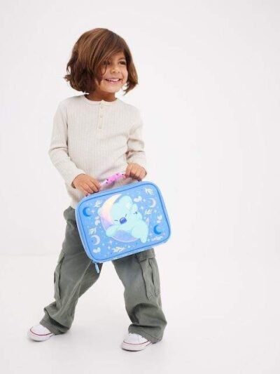 Big Dreams Teeny Tiny Square Lunchbox