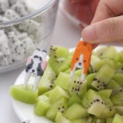 Cute Cat & Dog Lunchbox Picks – Animal Tail Food Fruit Forks | (7 pcs)