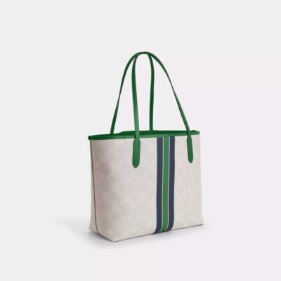 City Tote Bag In Signature Canvas With Coach Graphic
