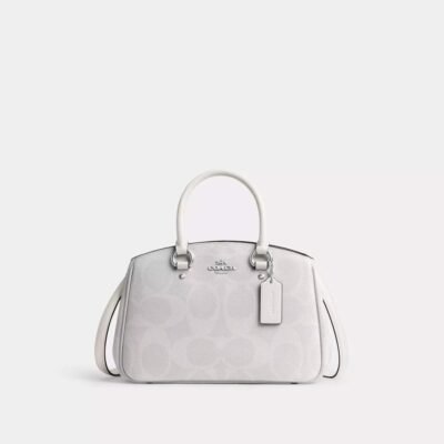 Coach Savannah Small Carryall Bag In Signature Canvas White/Chalk