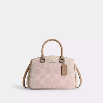 Coach Savannah Small Carryall Bag In Signature Canvas Sand/Taupe