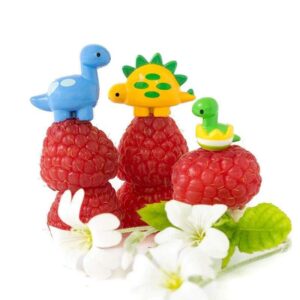 Dinosaur Food Picks for Kids Lunchbox & School Meals (6 pcs)