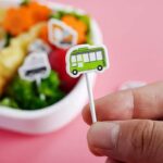 Mixed Designs Lunchbox Picks – (30 pcs) Reusable Food Picks for Kids Bento