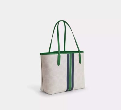 City Tote Bag In Signature Canvas With Coach Graphic