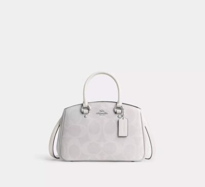 Coach Savannah Small Carryall Bag In Signature Canvas White/Chalk