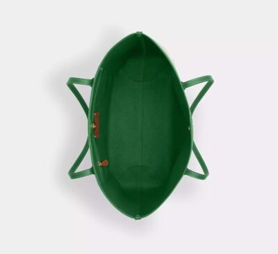 City Tote Bag In Signature Canvas With Coach Graphic