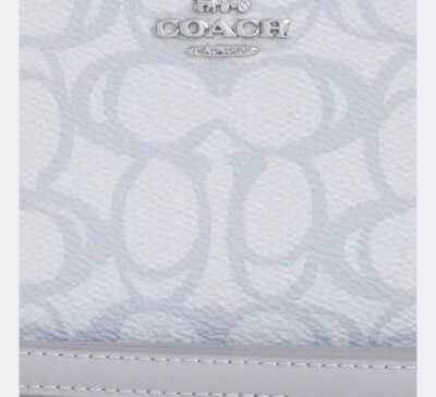 Long Zip Around Wallet In Sketch Signature Canvas