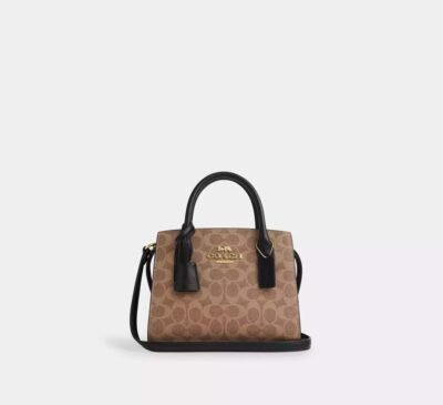 Coach Andrea Carryall Bag In Signature Canvas