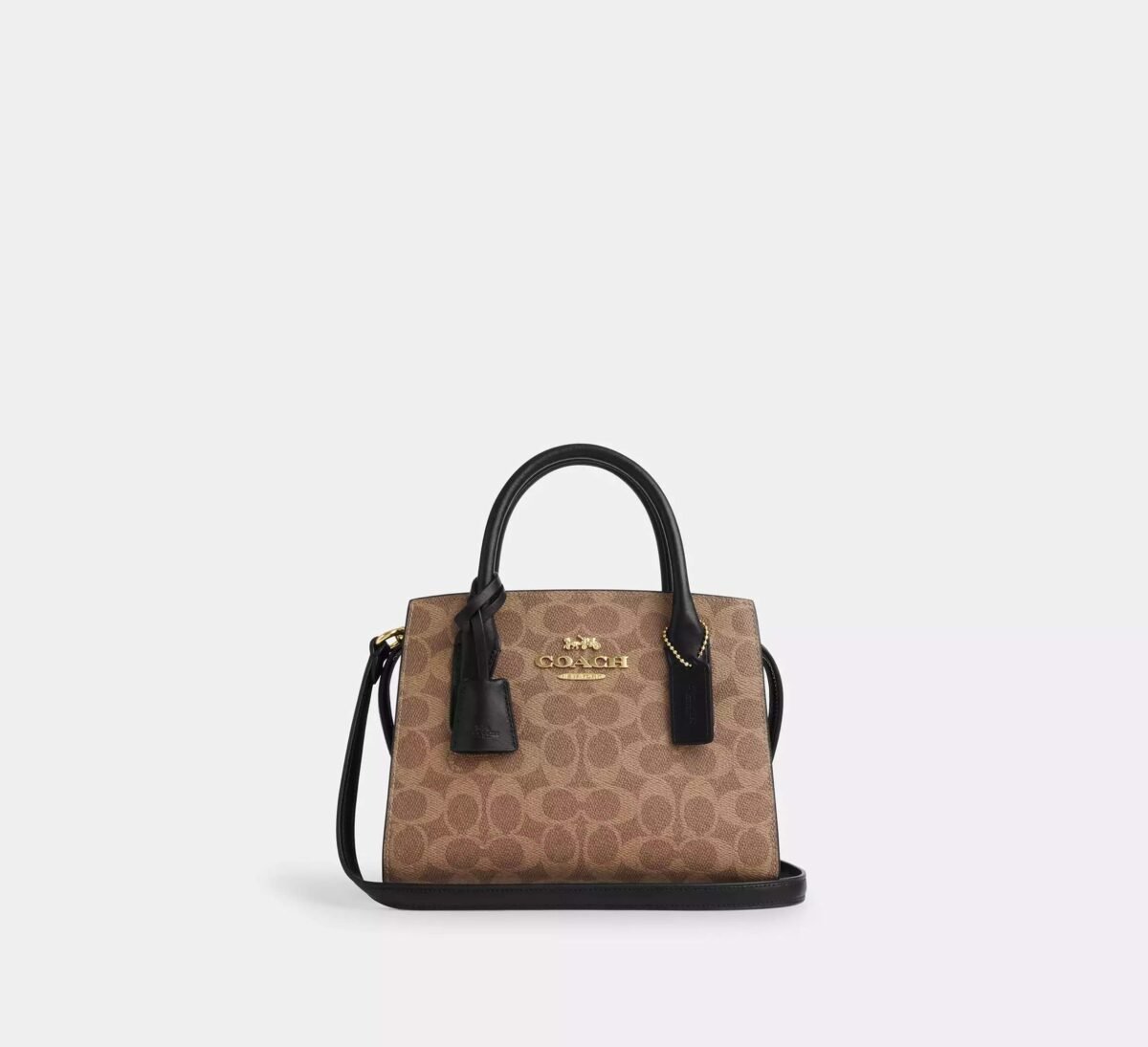 Coach Andrea Carryall Bag In Signature Canvas