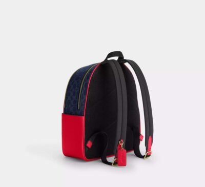 Court Backpack In Signature Canvas