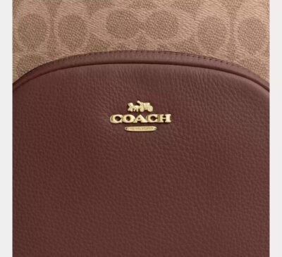 Court Backpack In Signature Canvas