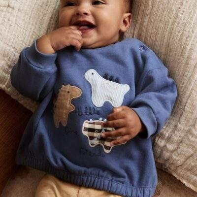 Blue Dino Baby Sweatshirt and Leggings Set