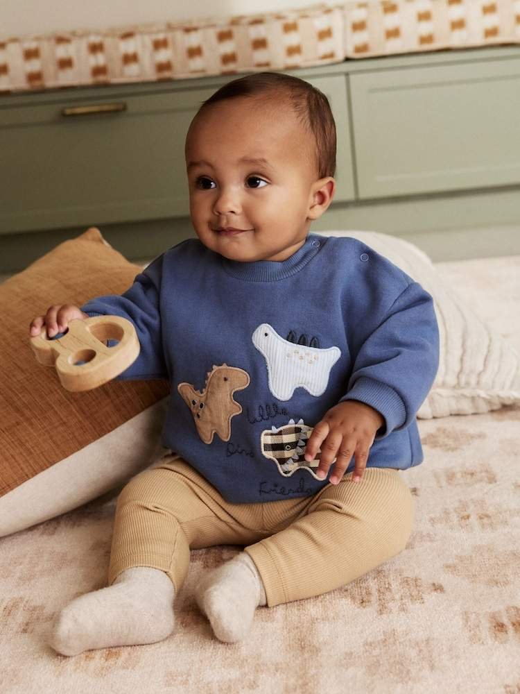 Blue Dino Baby Sweatshirt and Leggings Set