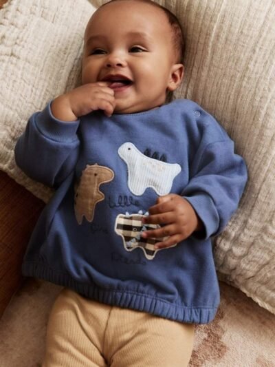 Blue Dino Baby Sweatshirt and Leggings Set