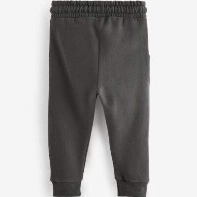 Charcoal Grey Slim Fit Soft Touch Jersey Joggers