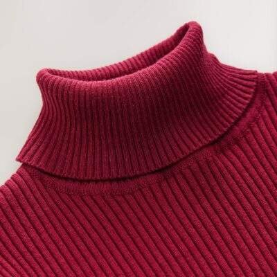 Berry Red Roll Neck Knit Jumper