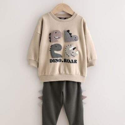 Grey and Charcoal Dinosaur Spike Single Sweatshirt and Joggers Set