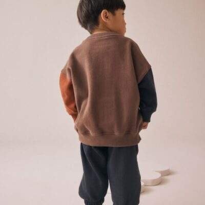 Brown Animal Single Sweatshirt and Joggers Set