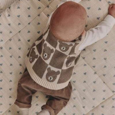 Neutral Bear Knitted Vest Shirt and Trouser Baby Set