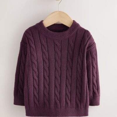 Plum Cable Knit Crew Neck Jumper
