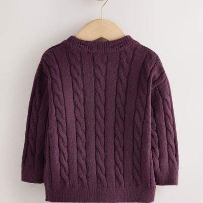 Plum Cable Knit Crew Neck Jumper