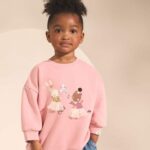 Pink Fairy Characters Crew Neck Sweatshirt