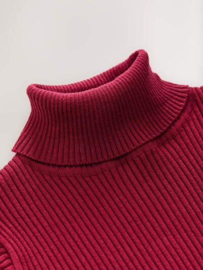 Berry Red Roll Neck Knit Jumper
