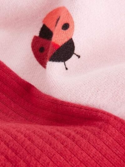 Pink/Red Ladybird Sweatshirt and Leggings Set