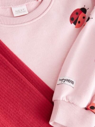 Pink/Red Ladybird Sweatshirt and Leggings Set