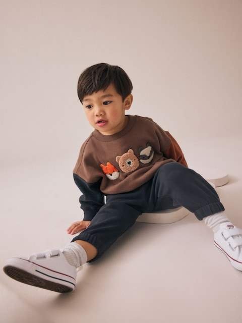 Brown Animal Single Sweatshirt and Joggers Set