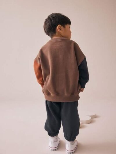 Brown Animal Single Sweatshirt and Joggers Set