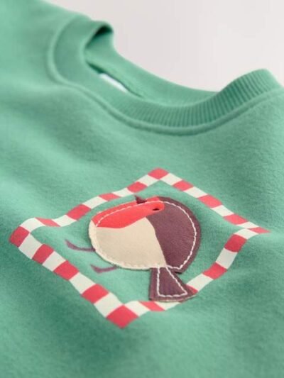 Green Christmas Robin Crew Neck Sweatshirt