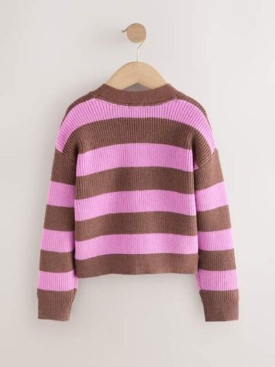 Brown/Purple Stripe Boxy Cardigan