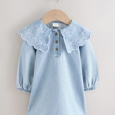Light Blue Denim Embroidered Collar Dress