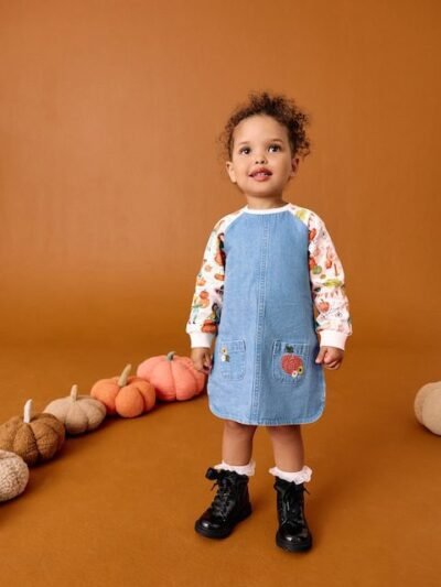 Pumpkin Print Raglan Denim Dress