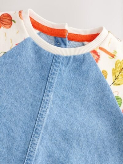 Pumpkin Print Raglan Denim Dress