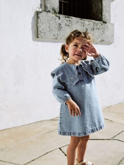 Light Blue Denim Embroidered Collar Dress