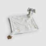 Born in 2026 Baby Comforter