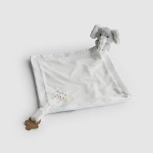 Born in 2026 Baby Comforter