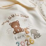 2pk Born in 2026 Wrap Bibs