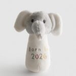 Born in 2026 Rattle Toy