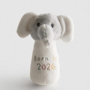 Born in 2026 Rattle Toy