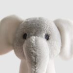 Born in 2026 Rattle Toy