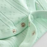 Pastels 5 Pack Short Sleeve Pointelle Baby Bodysuits