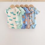 Multi Short Sleeve Baby Bodysuits 5 Pack