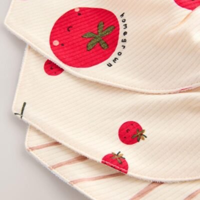 Red Tomato Baby Bibs 3 Pack