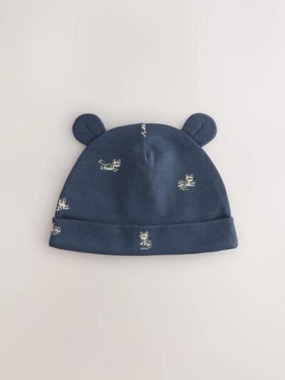 Multi Baby Beanie and Bibs 4 Piece Set