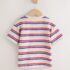 Blue/Cream Stripe Short Sleeve Appliqué T-Shirt 3