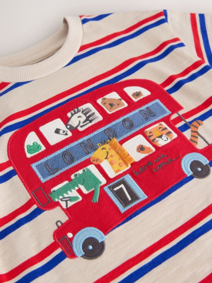 Blue Cream Stripe Short Sleeve Appliqué T-Shirt 3