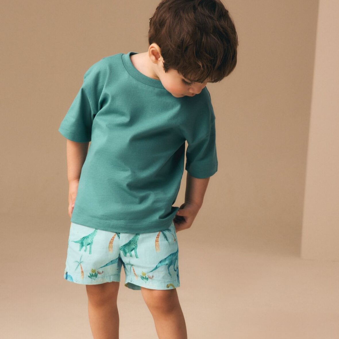 Blue Dino Print Linen Blend Pull On Shorts 1